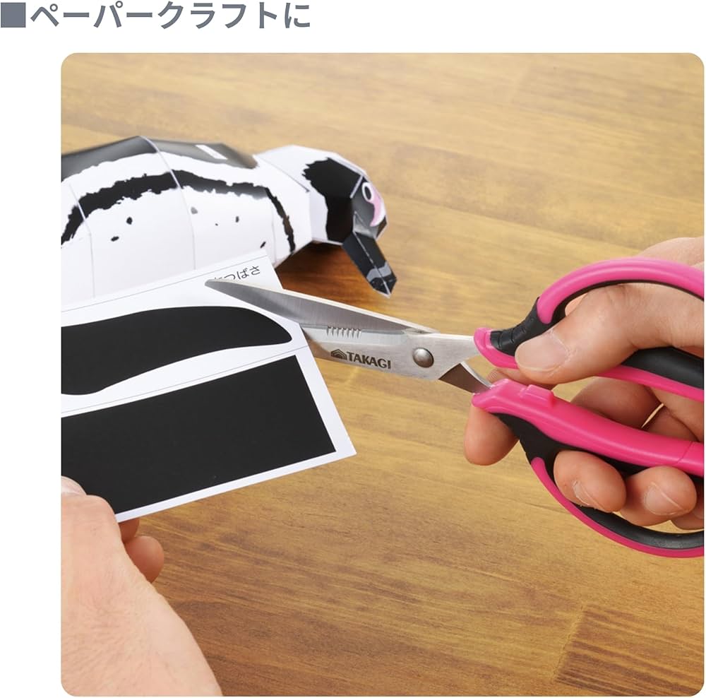 Amazon | 高儀(Takagi) TAKAGI クラフト鋏 ステンレス 190mm MS-190