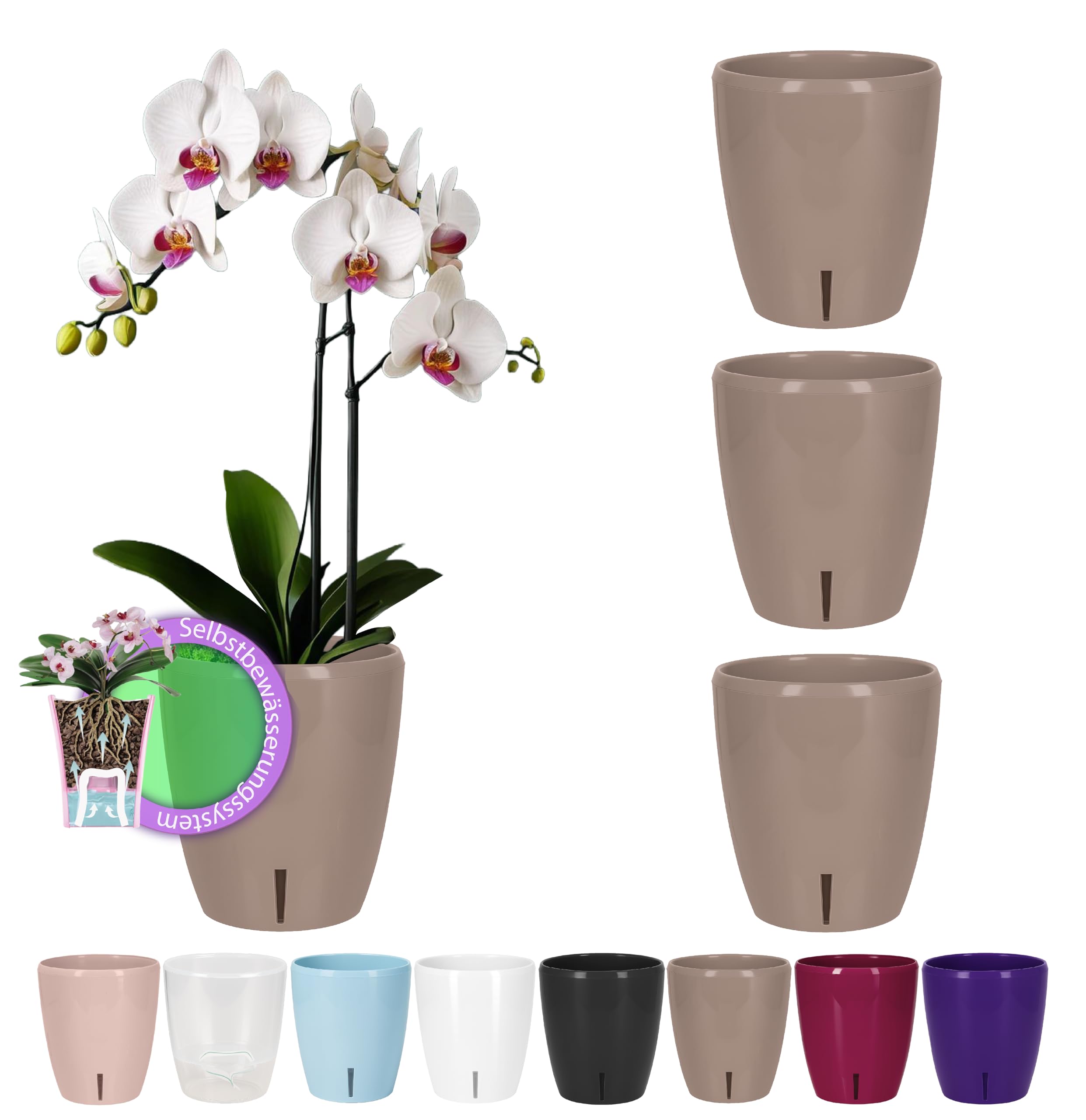 Santino Maceta para Orquídeas Ø 12cm Maceta Autorriego con Sistema de Mecha e Indicador de Nivel de Agua para Interior (Ø 12cm - 1,3L - Transparente) — view 19