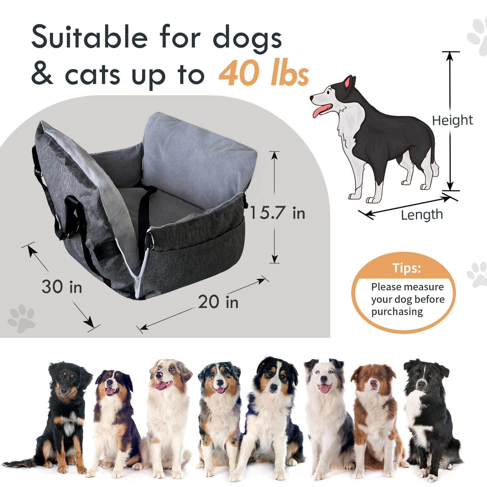 Seggiolino Rialzato Per Cani Piccoli E Medi – Cuscino Auto Con Cintura, Tasche E Base Antiscivolo, Viaggi Sicuri E Comodi