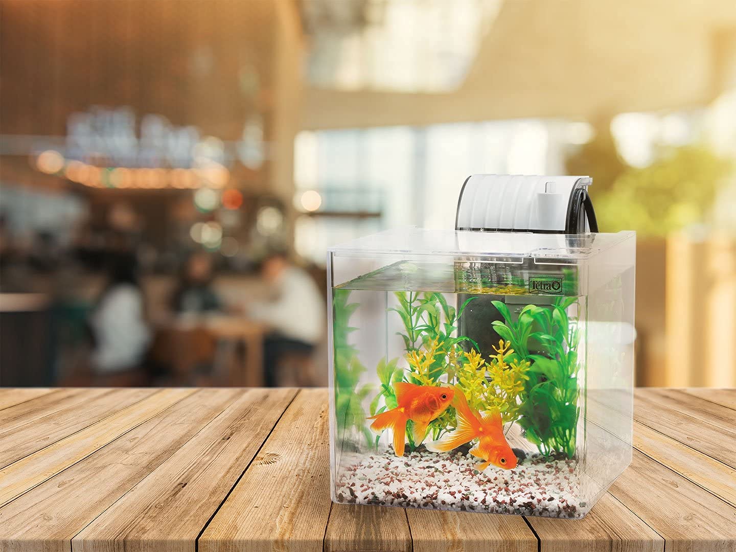 Amazon | テトラ (Tetra) プラスチック水槽 静かな金魚飼育セット SF