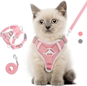 VavoPaw Cat Harness and Leash Set for Walking, Escape Proof Pet Safety Vest with Reflective Strip Breathable Mesh, Adjustable Soft Kitten Vest Harness for Kittens, Cats, Puppies, S, Pink