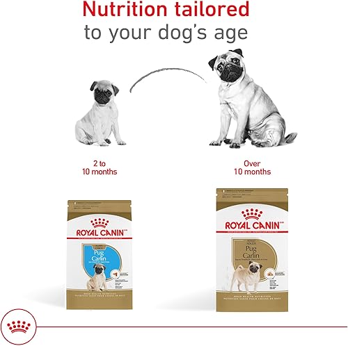 Miniatura 8 de Royal Canin Breed Health Nutrition - Alimento seco para perros adultos