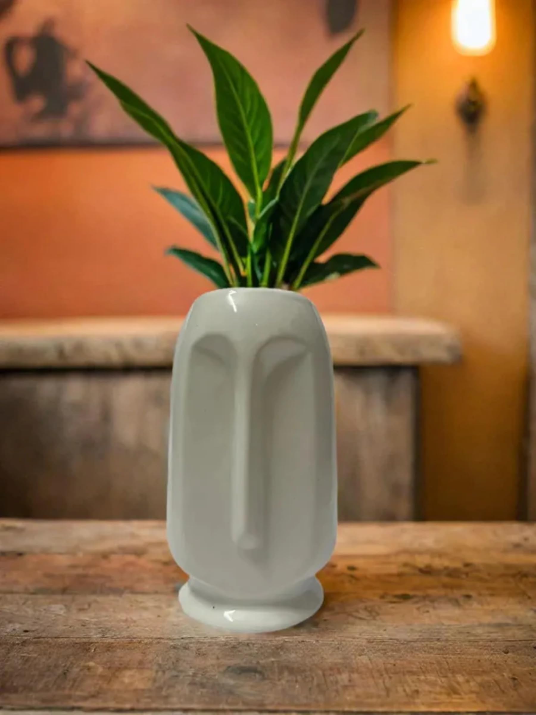 Face Shape Small Size Indoor Outdoor Plant Pot, Home Office Planter, Home Decor (B0DDJVH2RH) Amazon Price History, Amazon Price Tracker