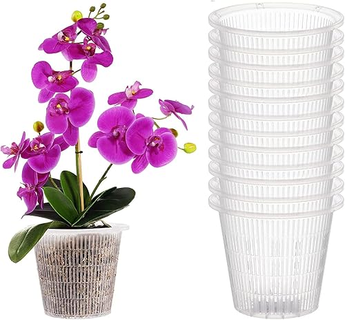 Ohiyoo Maceta de orquídea de 5 pulgadas con agujeros, 12 macetas de plástico transparente para orquídeas, macetas de orquídeas ranuradas para