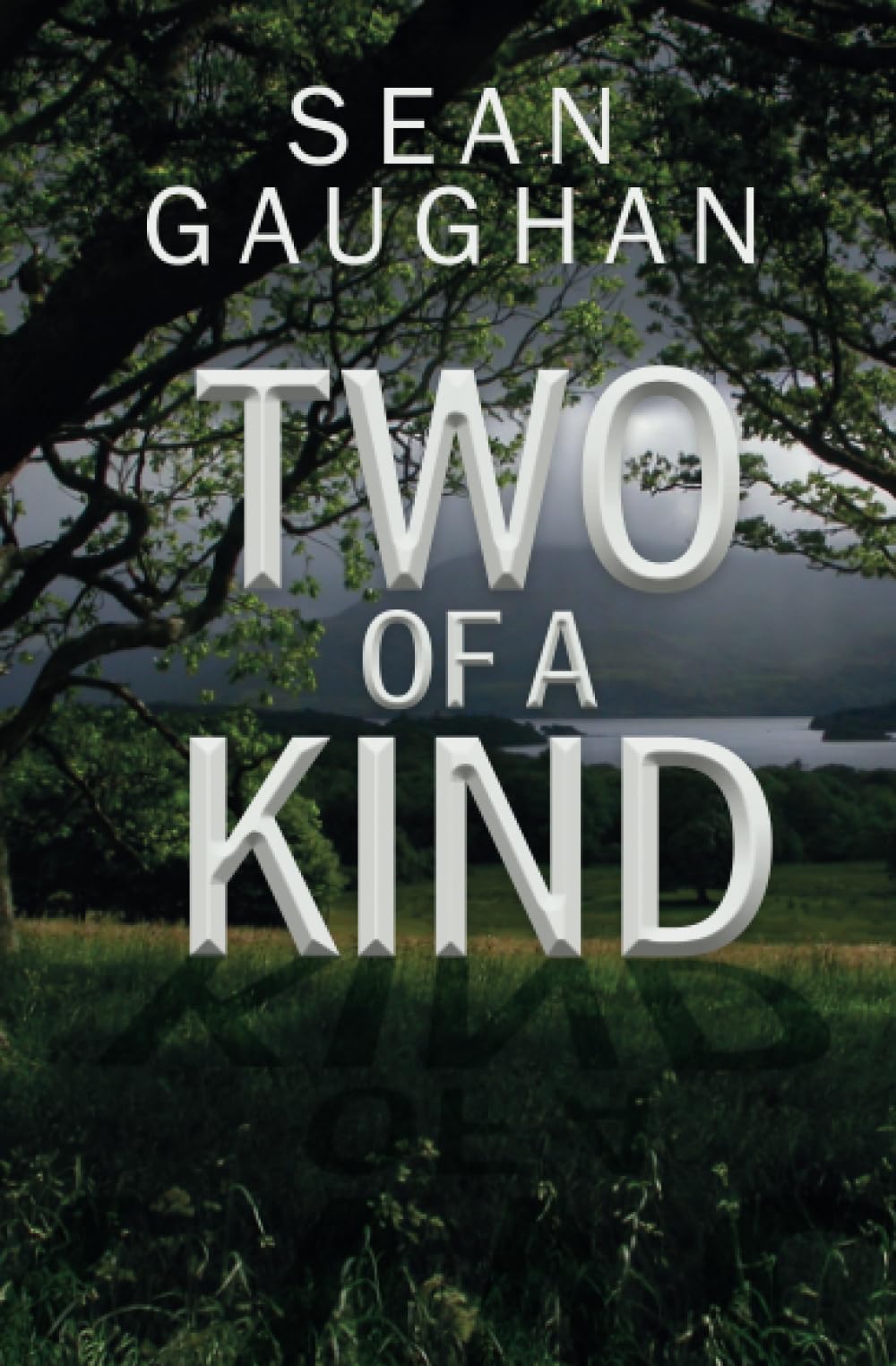 Two of a Kind