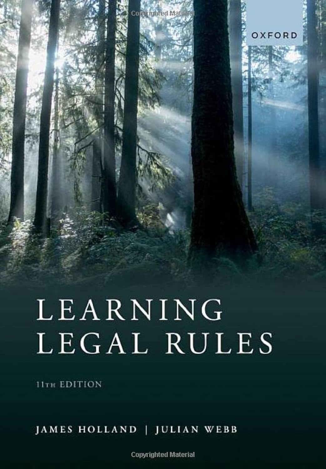 Learning Legal Rules: A Students' Guide to Legal Method and Reasoning Paperback – 22 Jun. 2022