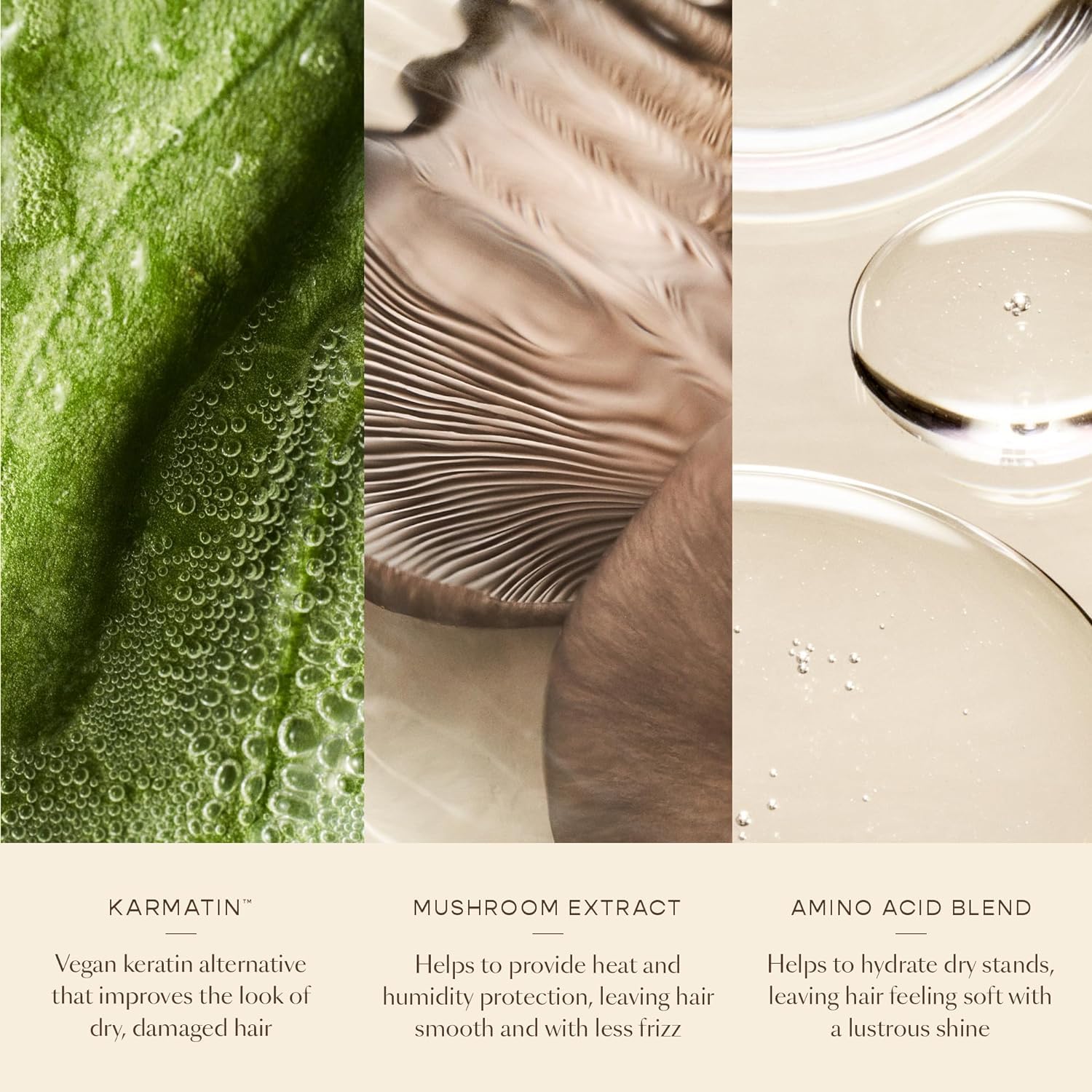 HYDR-8 Leave-In Conditioner, for Deep Hydration & Heat Protection, with Vegan Keratin, for Soft, Silky, Frizz Free Hair - Image 4