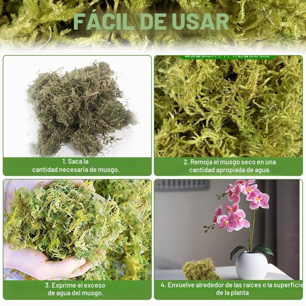 Musgo Sphagnum, 2 x 500 g Musgo para Orquideas, Musgos de Bosque Seco, Sphagnum Musgos Natural Seco para Terrarios Orquideas Soporte Plantas Bonsai Reptiles Decoración