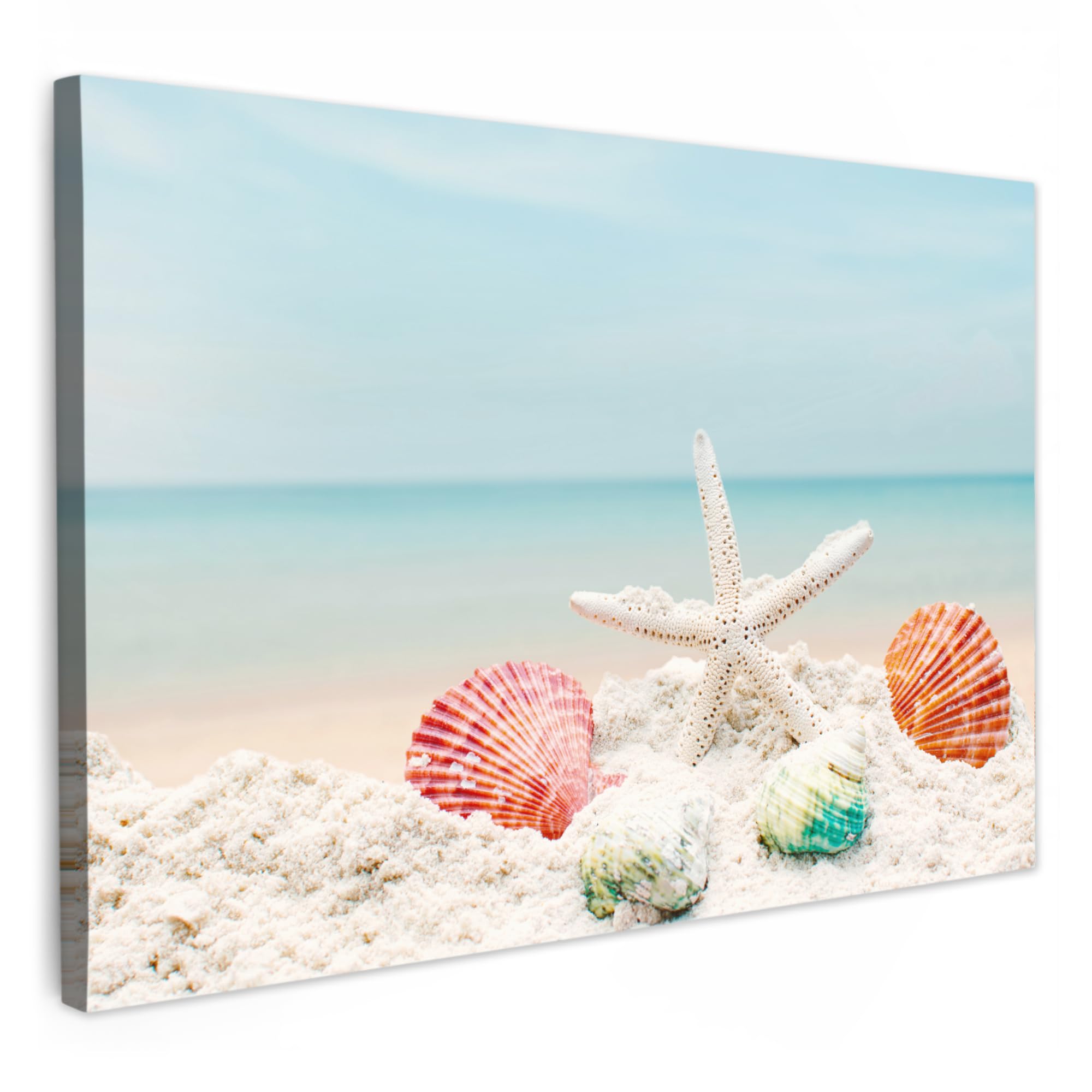 MuchoWow© Canvas Wall Art Work 60x40 cm Room Decor Painting Wallfillers Picture Decoration Prints Beach - WC - Sea - Starfish - Shell