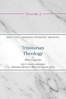 Trinitarian Theology (Holy Love: A Wesleyan Systematic Theology Book 2)