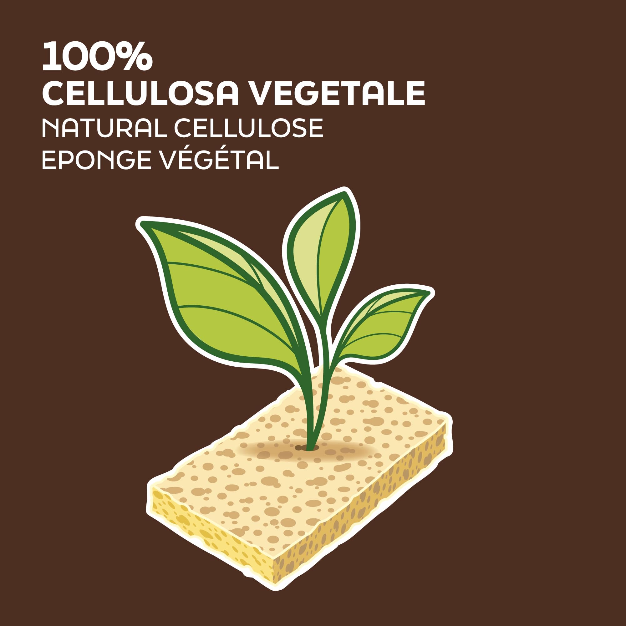 ARIX | 12 Spugne Massaggio Con Cellulosa della Linea Aqua massage Tradition, Spugna Corpo Relax Morbida, Spugna Energizzante e Tonificante in Pura cellulosa Vegetale a Fibra Alveolare - 12 Pezzi