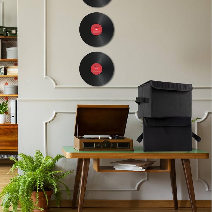 THE BIG ARTIST COLLECTION レコードボックス Amazon.com: alavisxf xx 7-inch Vinyl Record Storage Box, Nylon