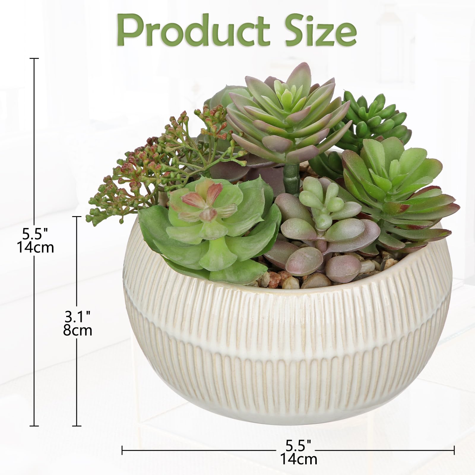 ［未使用］BOTANIZE PLA POT 5個セット 植木鉢 NEW – BOTANIZE