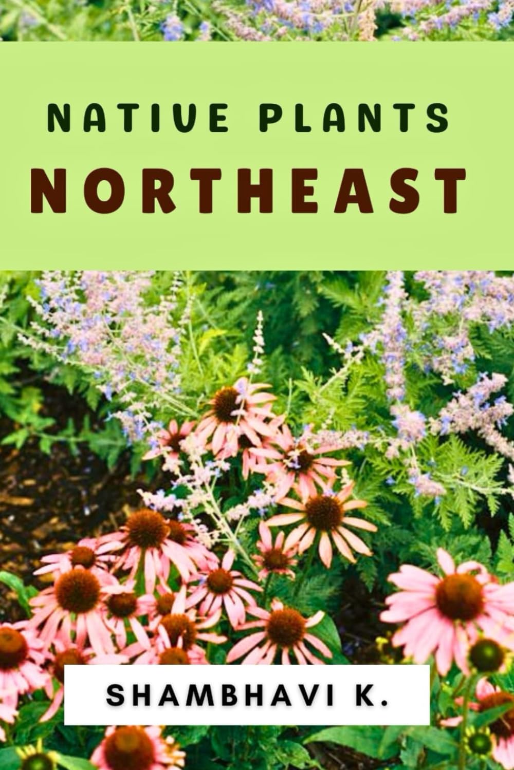 Wild Beauty: Discovering Native Plants of the Northeast