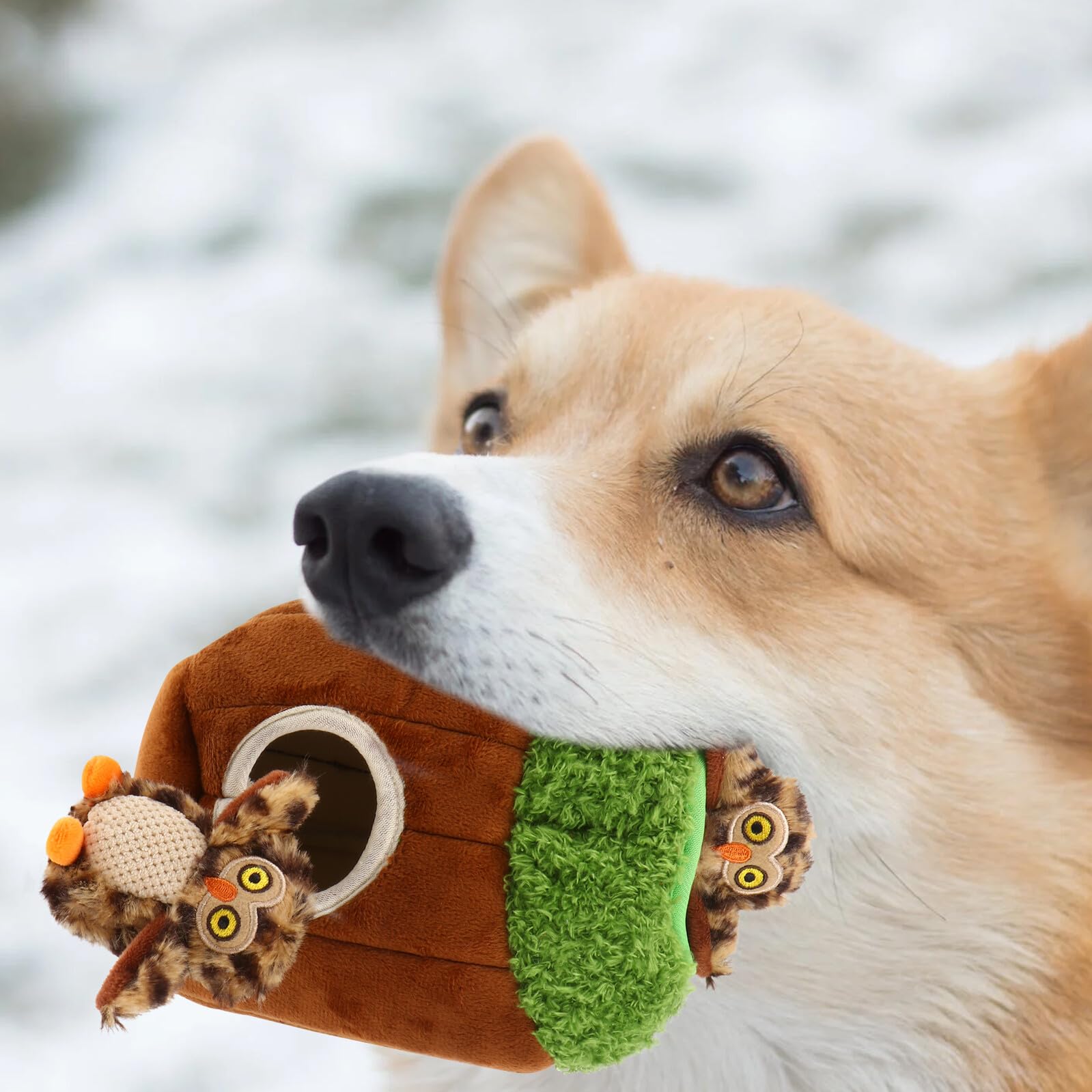 Jouet Couineur pour Chien en Peluche, Jeu Cache-cache, Lot 4 Pièces