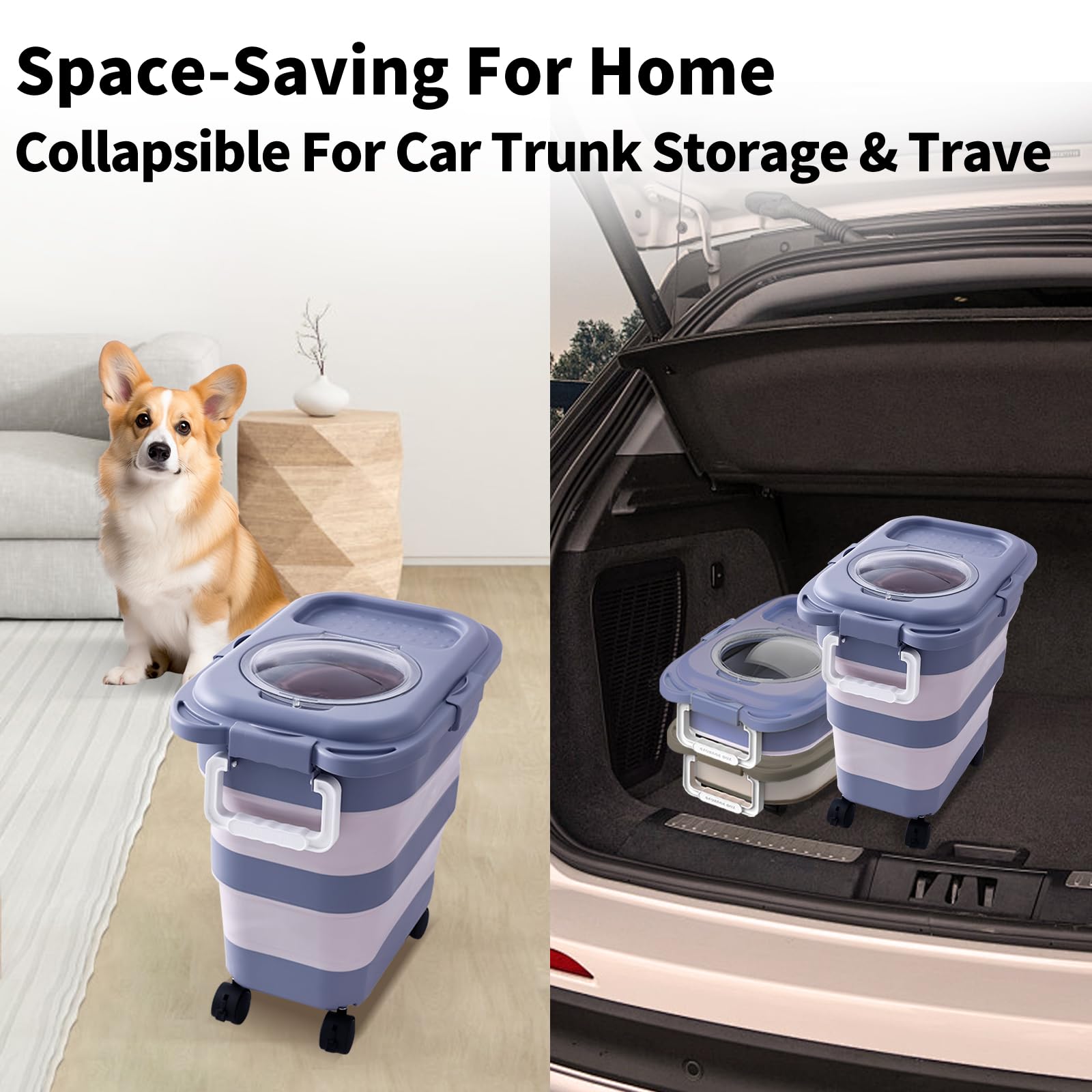 https://m.media-amazon.com/images/I/7142jSSUoKL.jpg