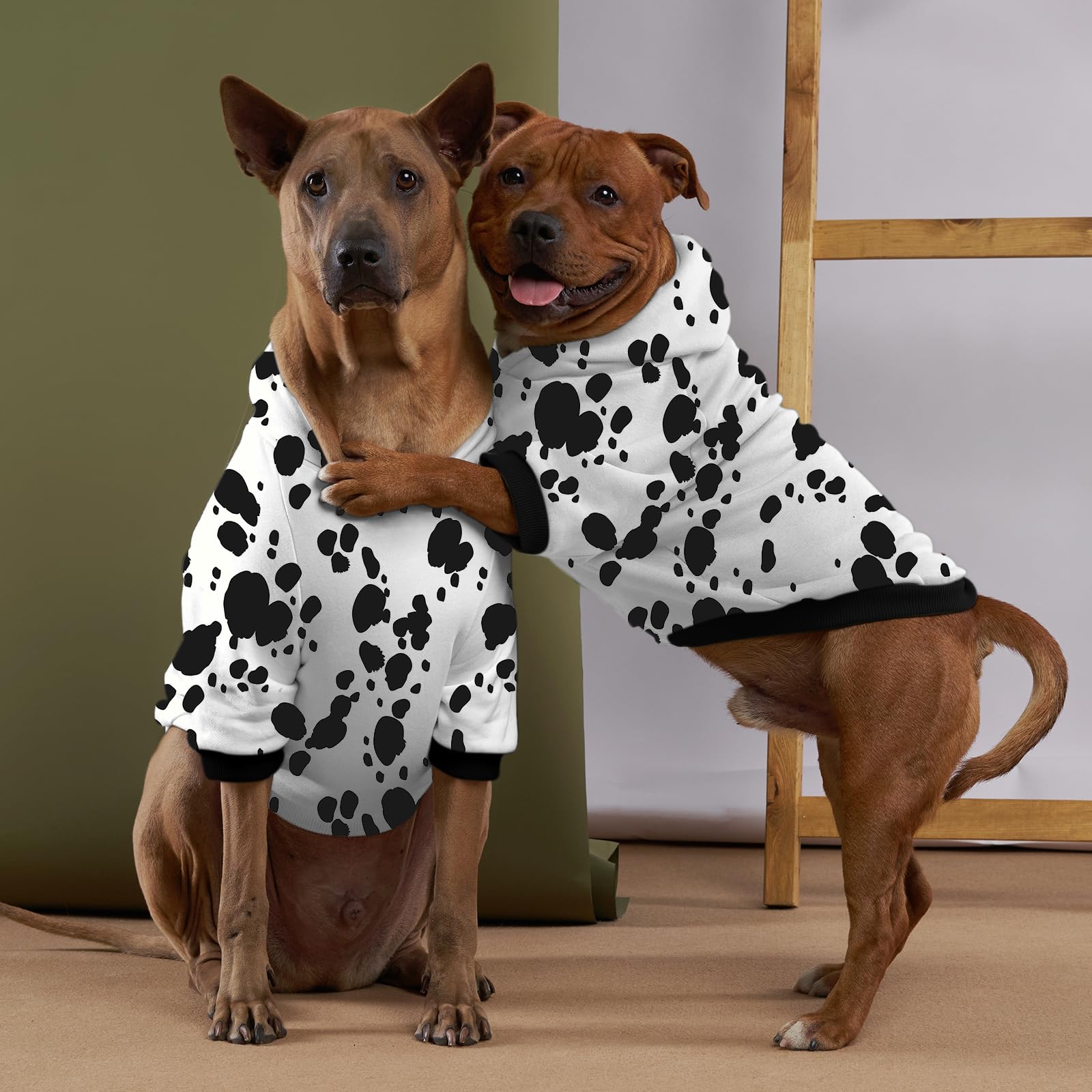 Disfraz de perro dálmata de Halloween, ropa de invierno con estampado de dálmatas, suéteres para Halloween, cosplay, otoño, mascotas, sudaderas con capucha de invierno con bolsillo para perros