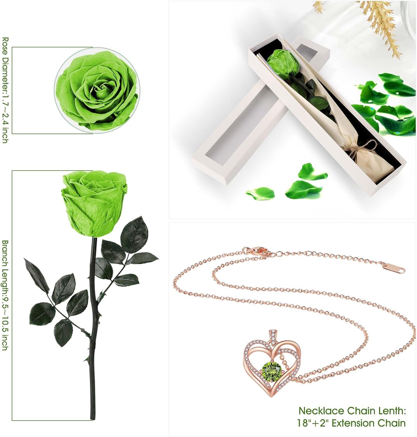 Flowers for Delivery Prime,Single Preserved Rose with Necklace for Women,Real Roses Gift Set for Her,Mom Birthday Gifts from Daughter, Valentines Flowers (Emerald Green) - Image 2