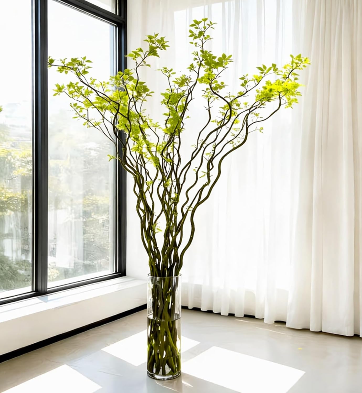 Dragon Willow Branch Cuttings 3 Feet Long – Live Fresh Easter Branch Tips for Rooting in Water – Fast Growing Curly Willow Branches for Planting, DIY Propagation & Garden Decor (16 Branches)