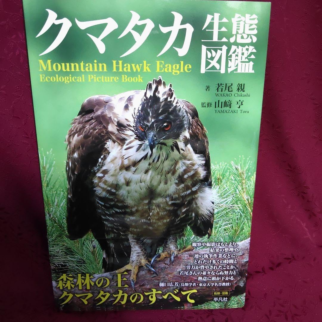 クマタカ生態図鑑（平凡社） [電子書籍] クマタカ生態図鑑 平凡社