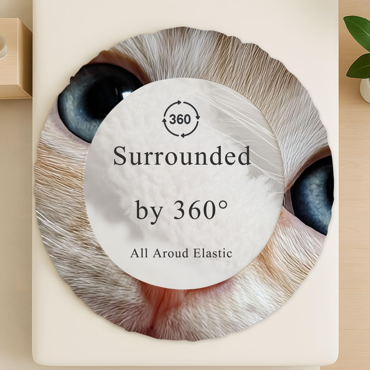 Sábana Ajustable Matrimoniale y Sábana con elástico luego de Sábana Ajustable para Cama Carino Animali Gatto Niñas Colchones de 30 CM de Alto con Fundas de Almohada Giallo