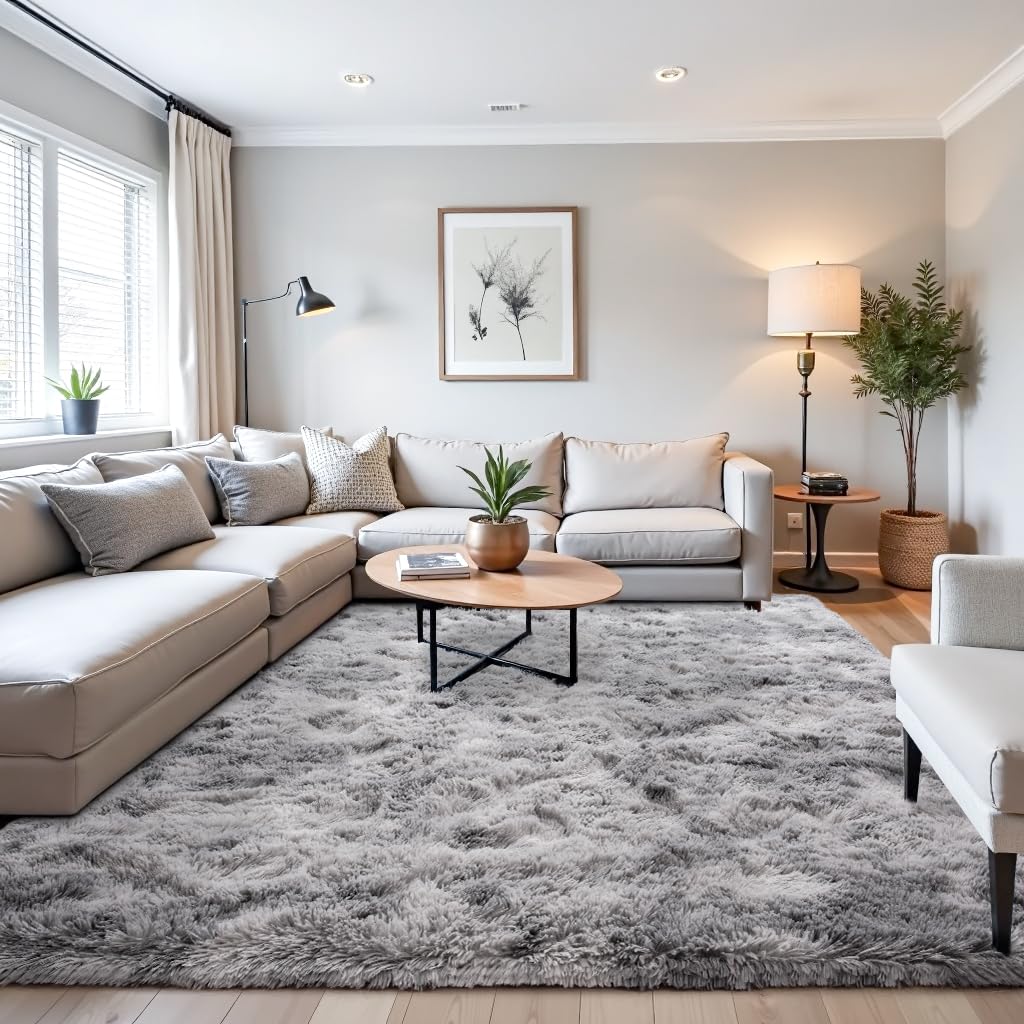 Beglad Fluffy Large Area Rugs 6x9 Feet, Modern Minimalist Style Shag Fuzzy Rugs, Non-Slip Indoor Carpet Soft Rugs for Kids Room, Bedroom & Living Room, Tie-Dyed Light Grey