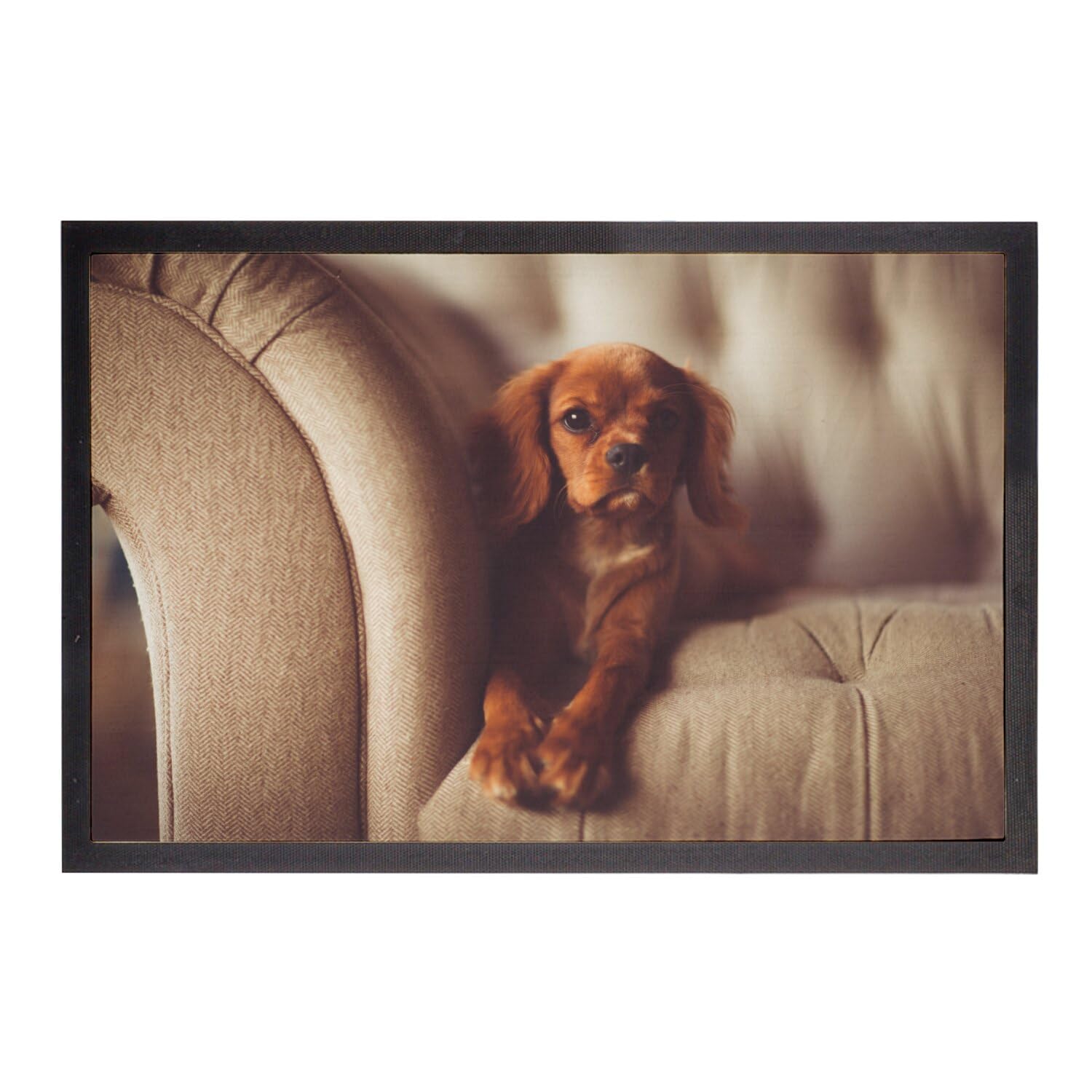 Paillasson Cavalier King Charles cadeau idéal 60x40cm motif mignon