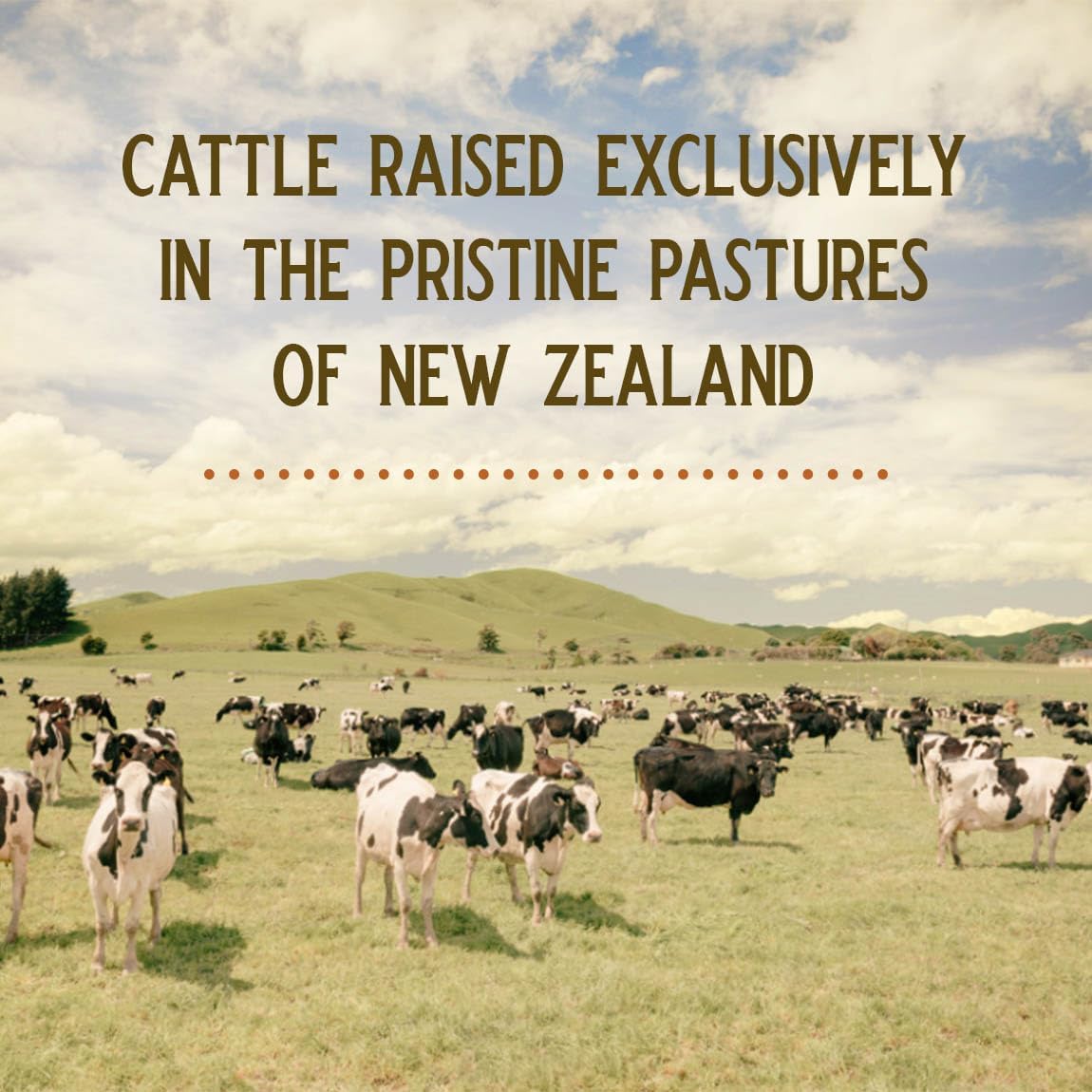 Grass Fed Bovine Testes Man Power Capsules (30 Day Supply) - Image 4