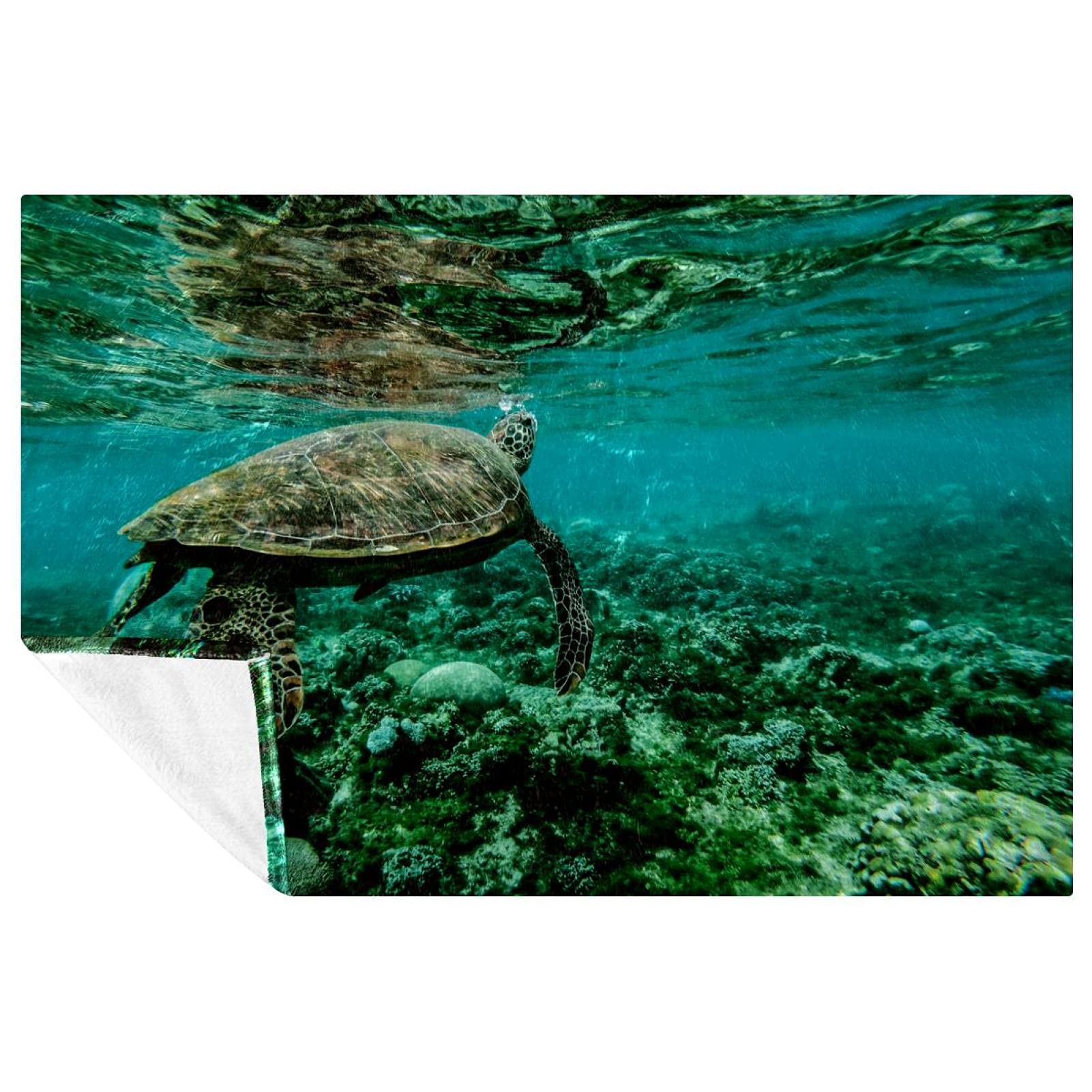 Couverture tortue verte 150x100 contre le froid sur votre canapé