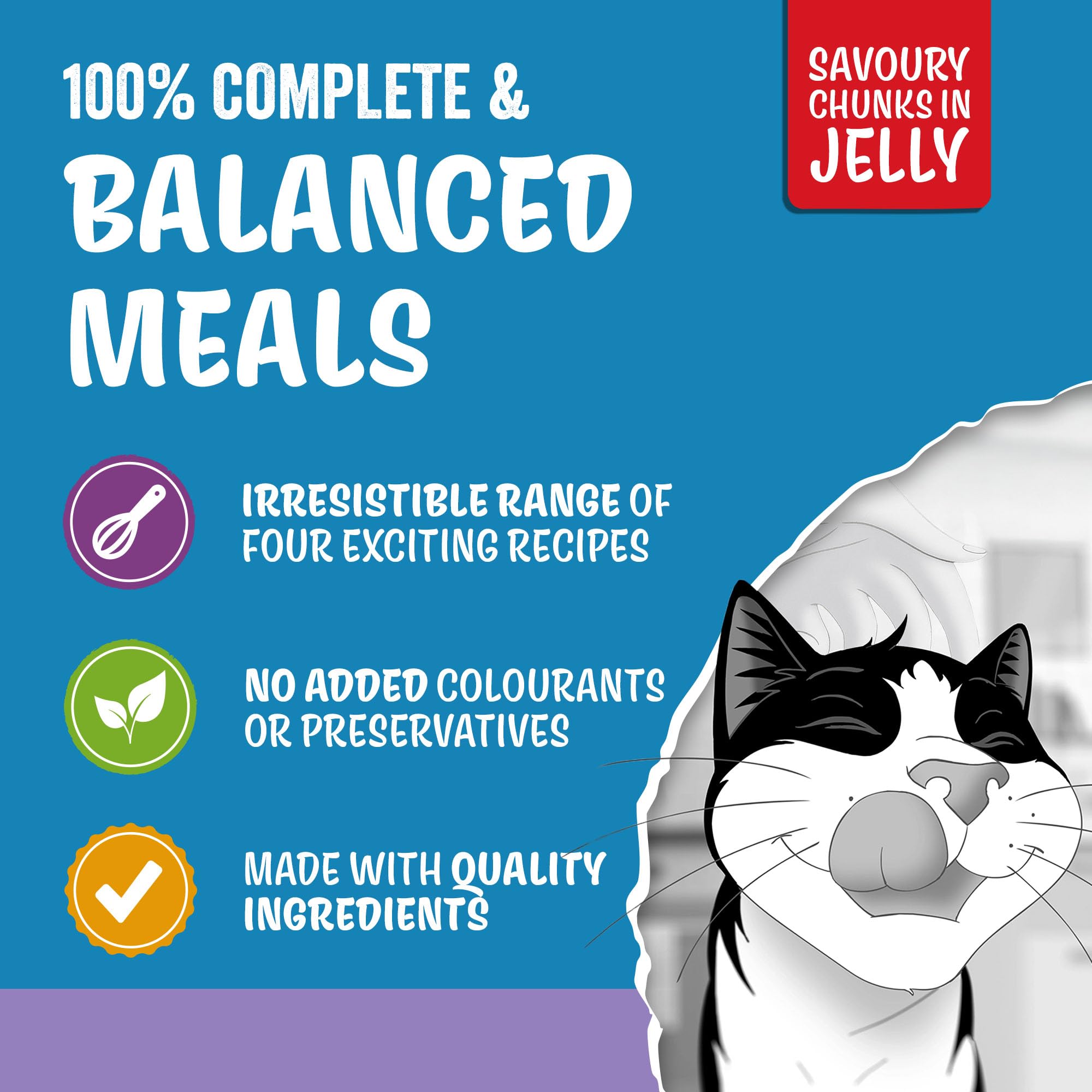 FELIX Original Mixed Selection in Jelly Wet Cat Food 120x85g - 3
