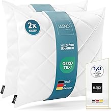 LILENO HOME Lot de 2 coussins, 40 x 40 cm, lavables à 95 °C, conviennent aux personnes allergiques, en polyester, conviennent comme coussin de canapé, coussin de cocktail et oreiller