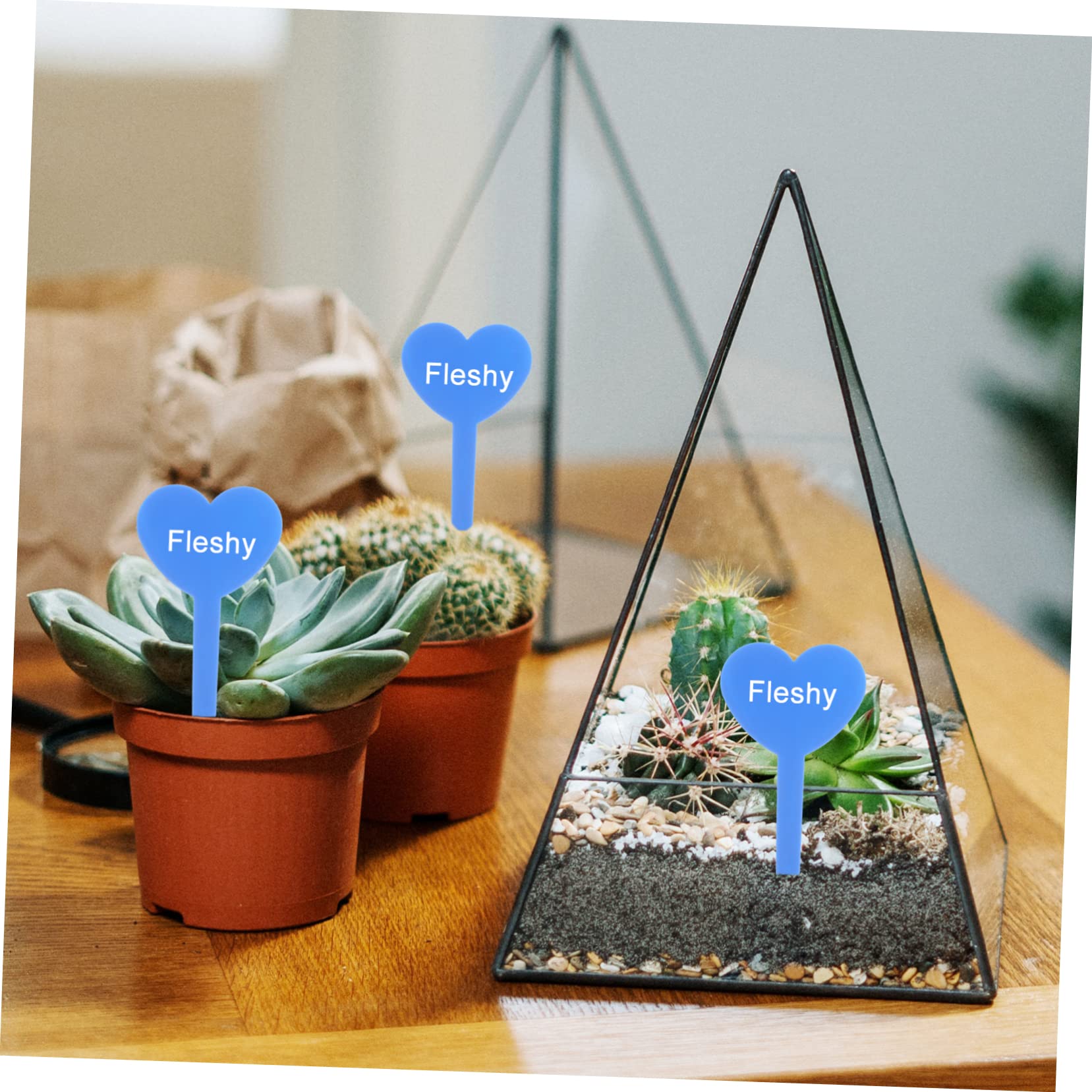 Etichette Per Piante Da Giardino - Set Di 10 Marchi Decorativi Per Orto E Interni - Foto 4