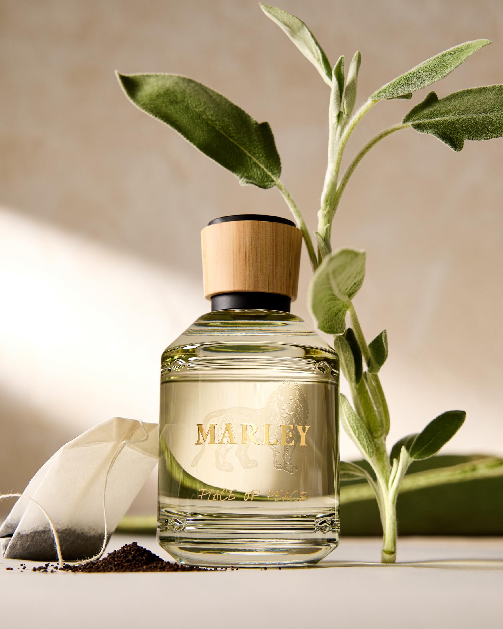 Amazon.com: Michael Malul / Marley Place of Peace -100ml | 3.4oz