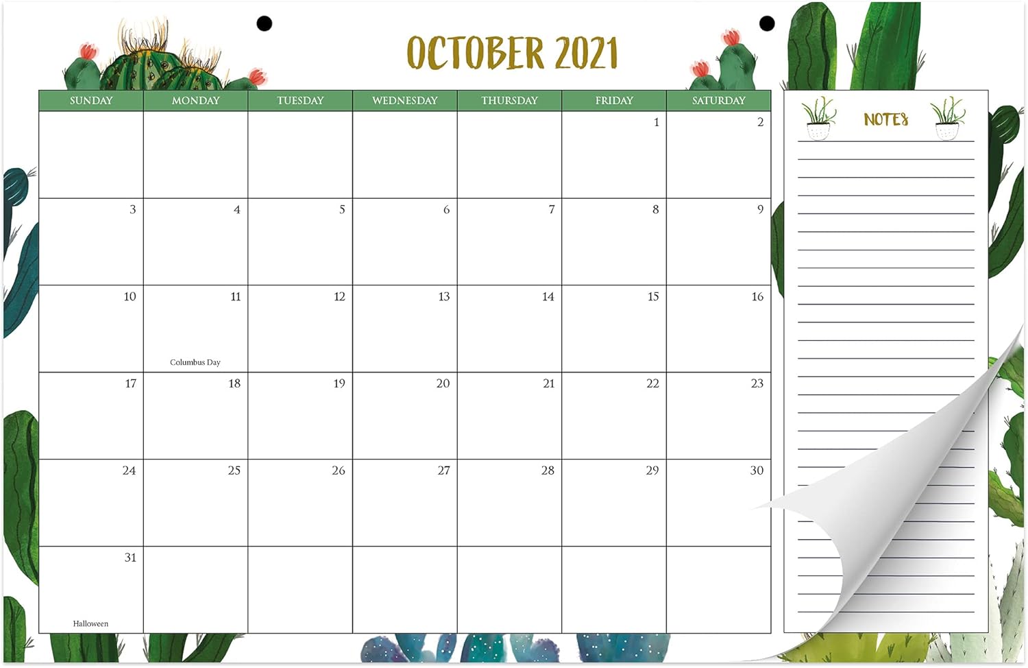 Aesthetic Cactus Desk Calendar 17"x11" - Desktop/Wall Calendar for Easy Planning - Runs from June 2021 until December 2022 : Office Products