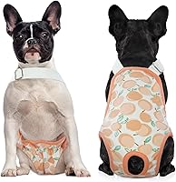 Vista 10 de QBLEEV Pañales para perras, bragas sanitarias lavables con tirantes ajustables, bragas reutilizables para perrito, ropa interior para mascotas