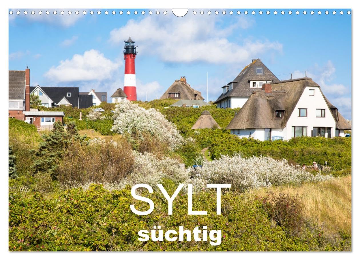 Sylt süchtig (Wandkalender 2026 DIN A3 quer), CALVENDO Monatskalender: Fantastische Meerblicke von der Sehnsuchtsinsel