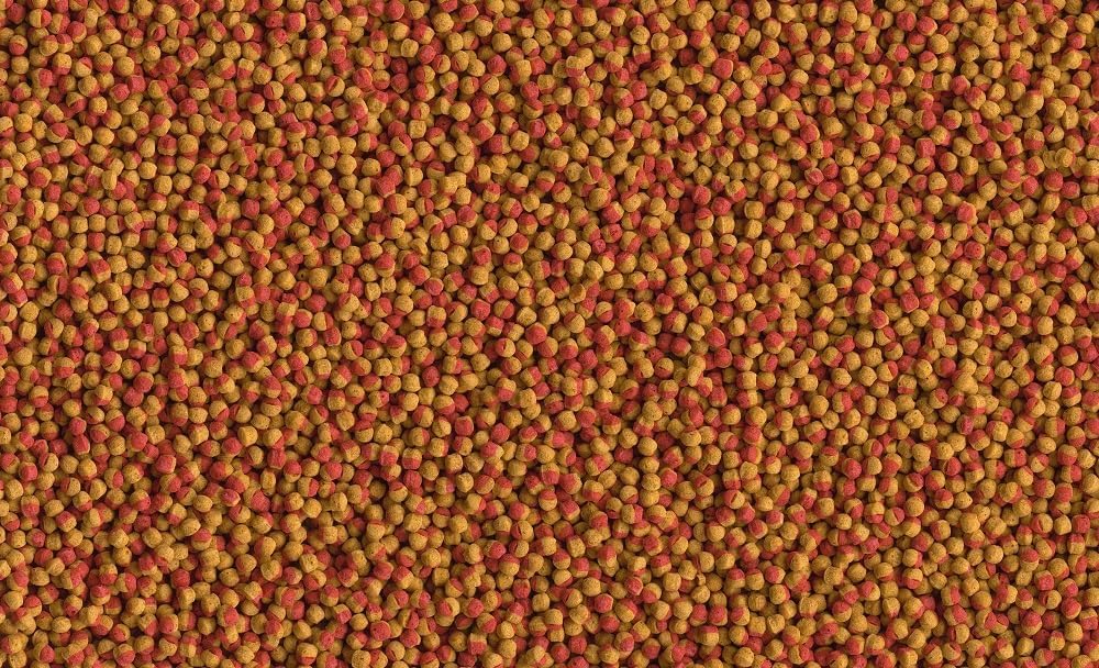 Tetra Cichlid Colour pellet – karma dla ryb dla intensywnych i jasnych kolorów, szczególnie dla pielęgnic o barwie czerwonej, pomarańczowej i żółtej, wiaderko 10 l