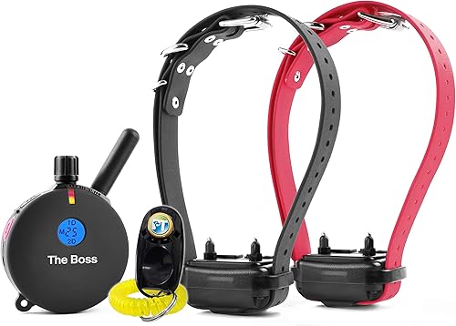 E-Collar ET-802-1 Mile - Entrenador impermeable recargable para dos perros, estático, vibraciones y sonido con clicker de entrenamiento para perros