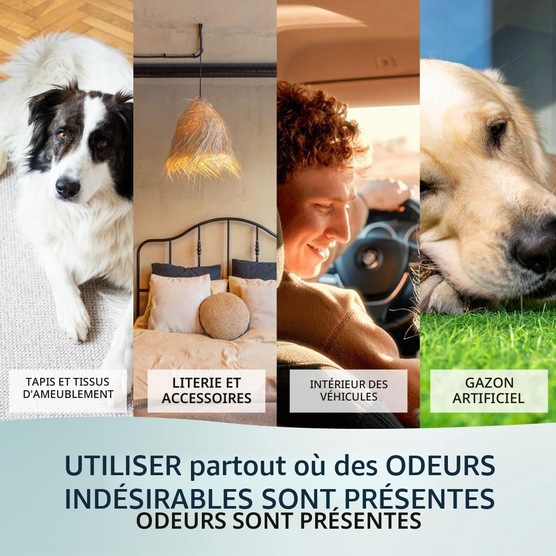 Powair Penetrator pour Chien