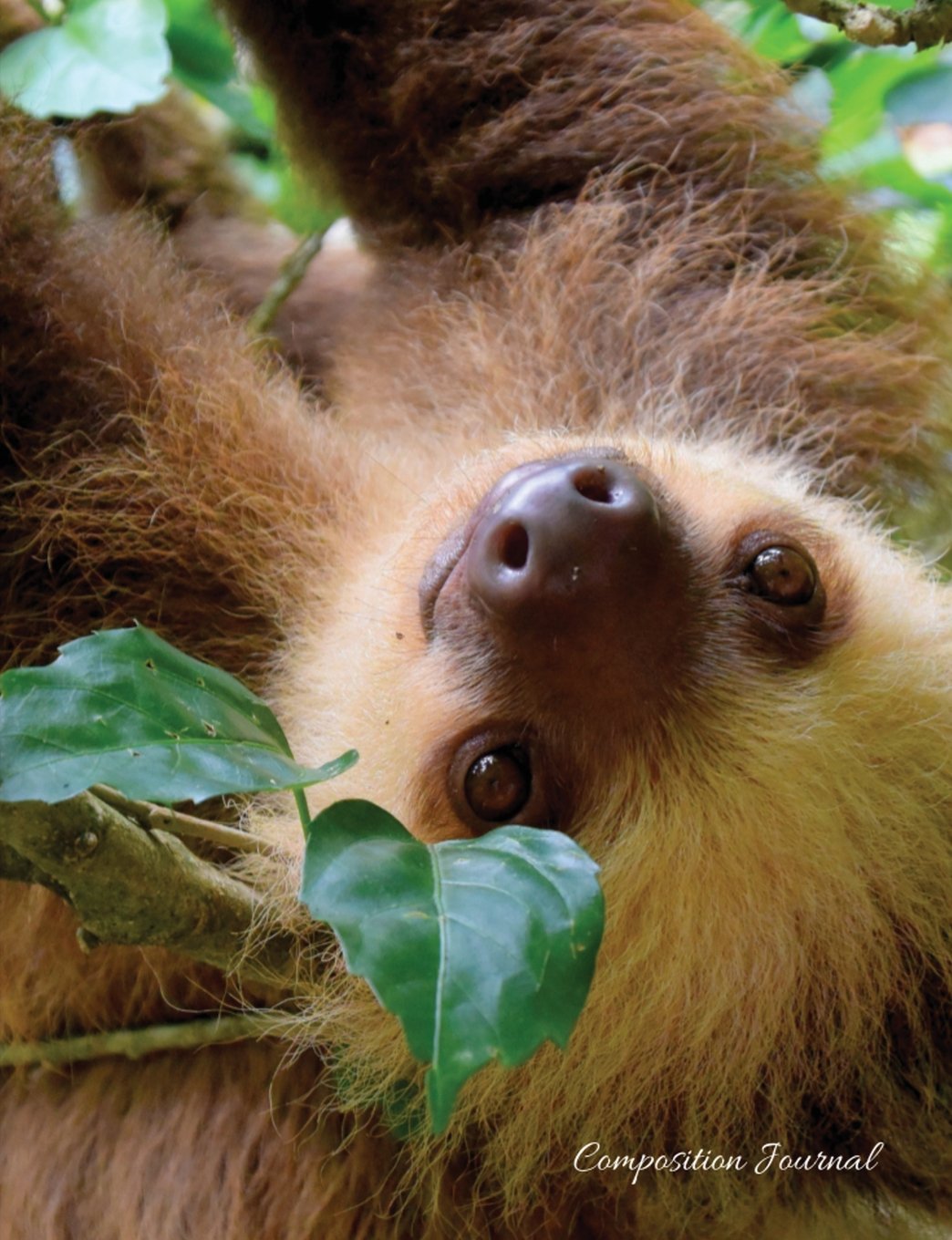 Composition Journal - Cute Sloth: 100 College Ruled Pages - Student Notebook