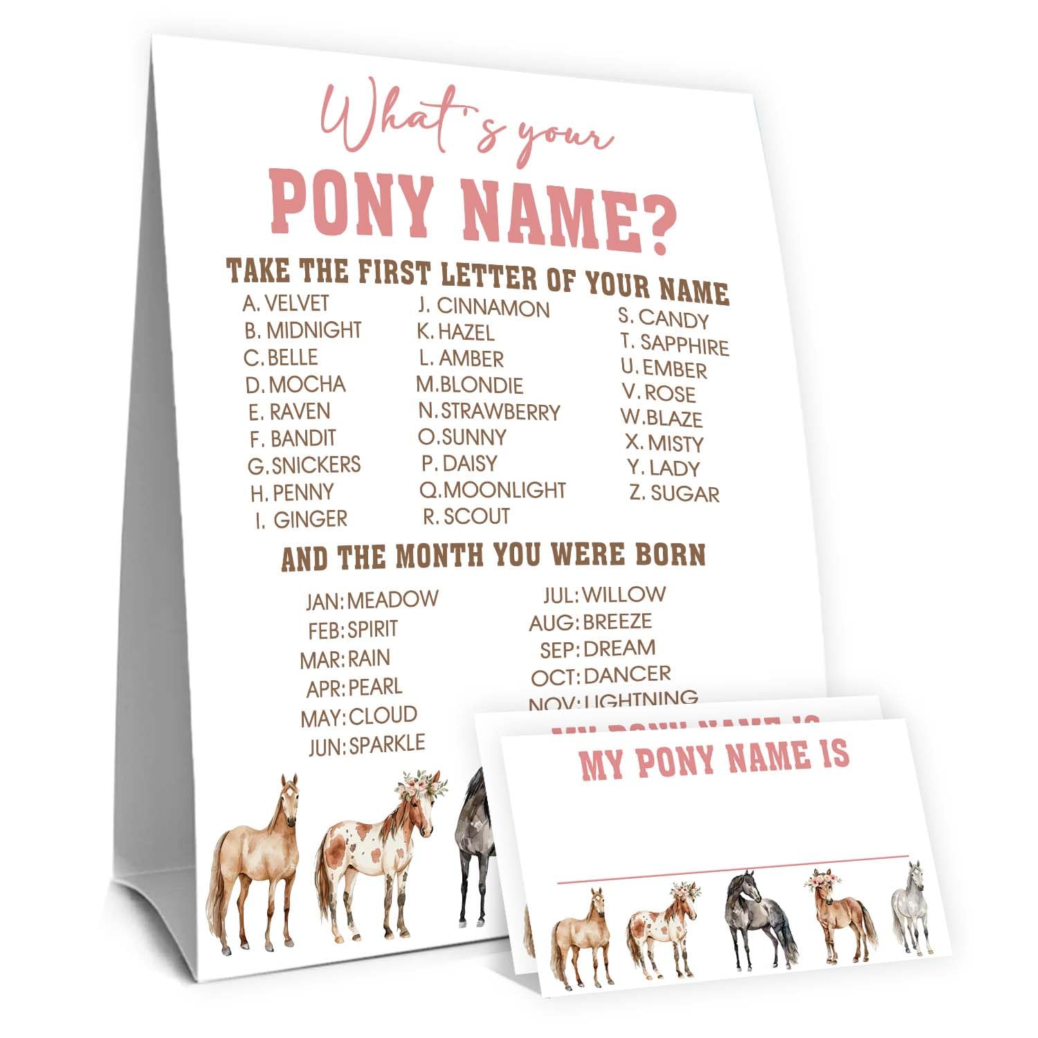 Beer Name Game Sign - Party Decorations -9