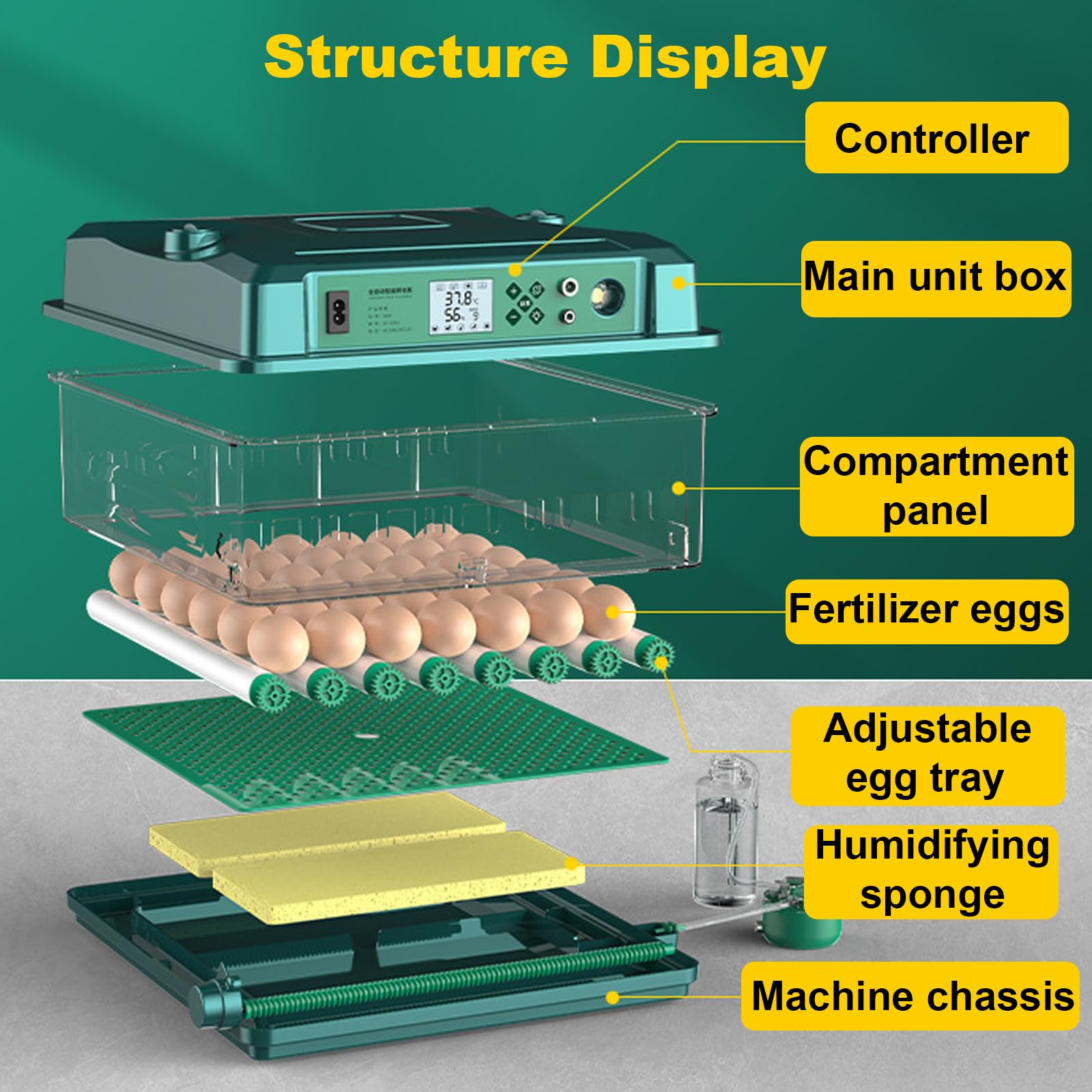 Incubadora automática de huevos, incubadora digital de aves de corral con control de temperatura y humedad para pollos, gansos, patos, palomas y codornices