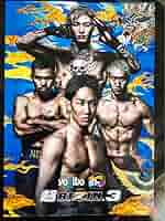 【値下げ】RIZINパンフレット／まとめ売り／東京ドーム／超RIZIN／朝倉未来 値下げ】RIZINパンフレット／まとめ売り／東京ドーム／超RIZIN