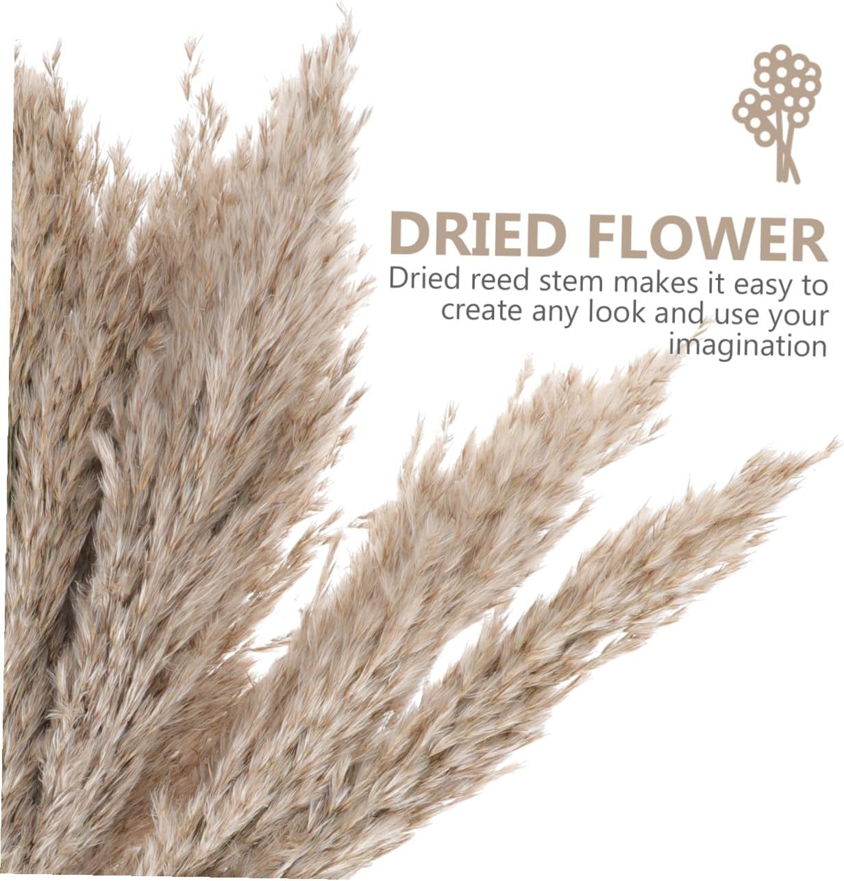 1set Natural Dried Flower Bouquets Preserved Flower Decor for Home Wedding and Rustic Table Arrangements Elegant Nordic Style Floral Arrangement