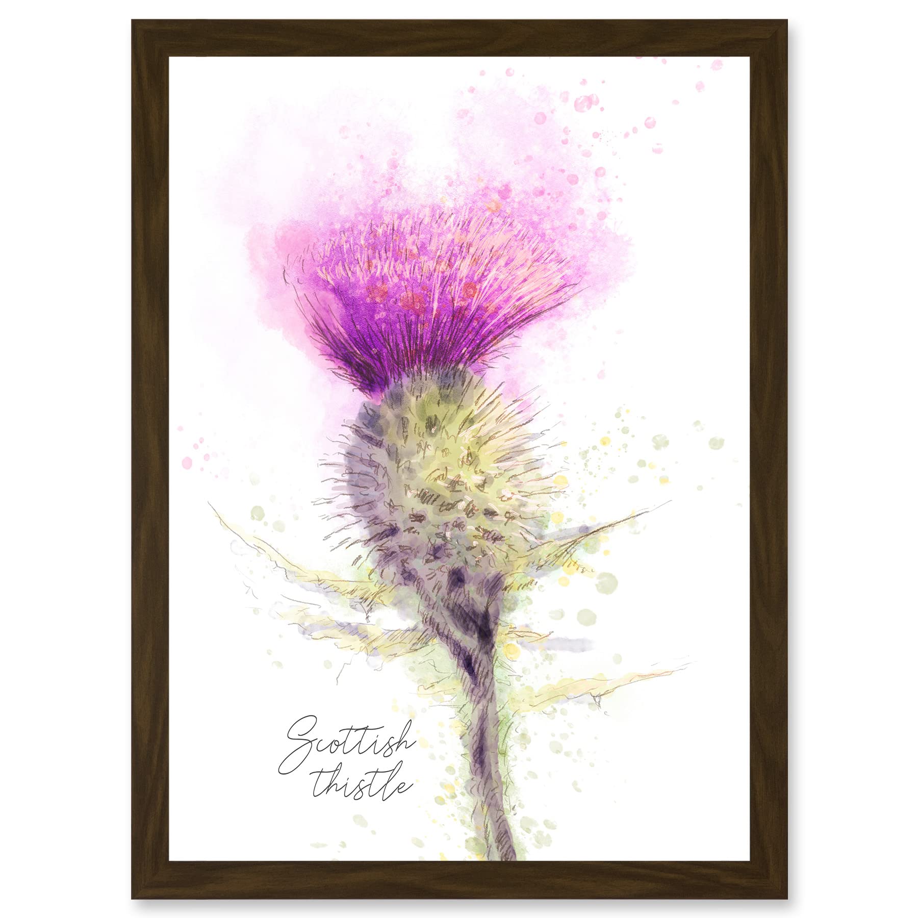 Wee Blue Coo Scottish Thistle Flower Head Watercolour Scotland A4 Artwork Framed Wall Art Print