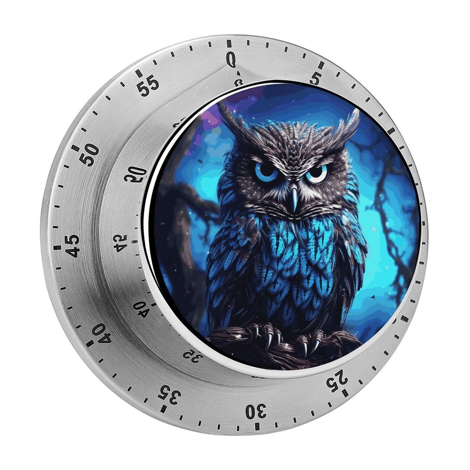 60 Minute Wind Up Timer, Visual Mechanical Timer with Loud Alarm, Blue Owl Kitchen Timers for Cooking - No Batteries Required - Magnetic Backing, Exquisite Stainless Steel Body