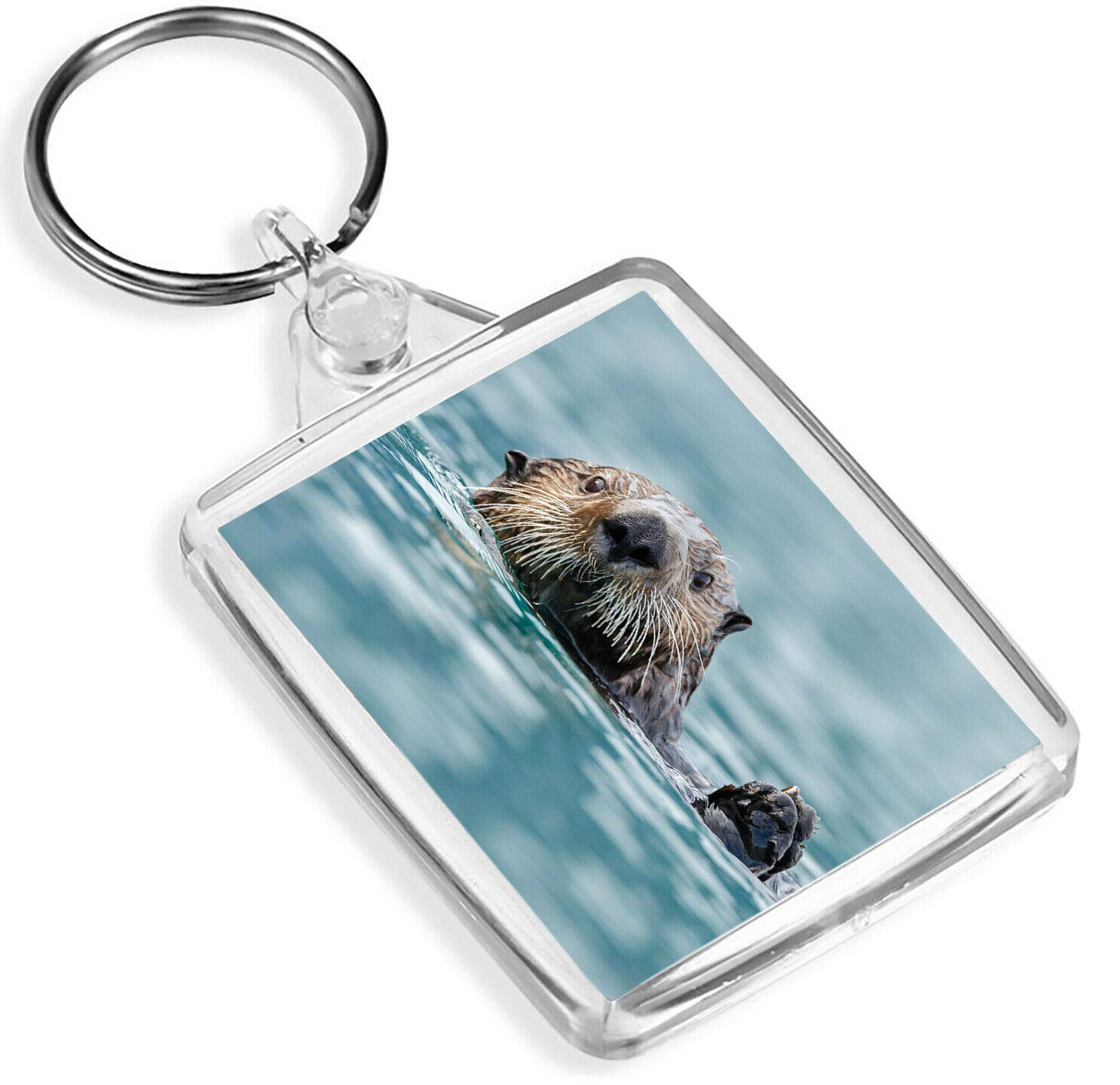 Destination Vinyl Keyrings Unisex Multi Cute Sea Otter Keyring Otters Wildlife Sea Animal Nature Fun Keyring #14162