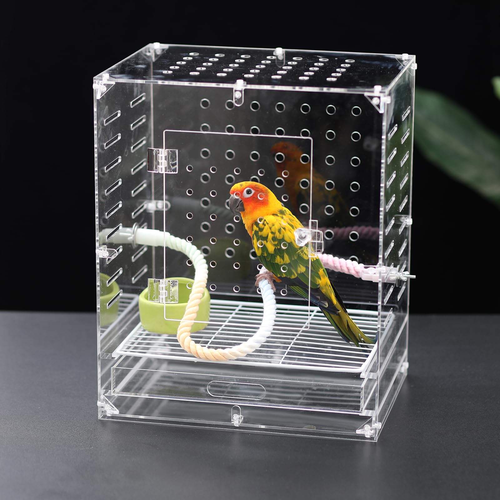 Clear Acrylic Bird Cage for Small Birds, Transparent Display Habitat for Canary, Parakeet - Easy to Clean & Assemble (9x12x15in) - image 6