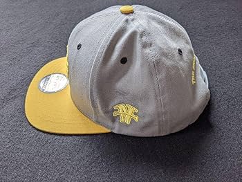 Amazon.co.jp: 井上 尚弥 キャップ 灰色 黄色 グレー ボクシング WBSS