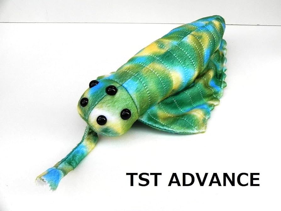 ぬいぐるみ OchanNoob Amazon.co.jp: IADSFSV(ひさこ) 古代生物シリーズ オパビニア